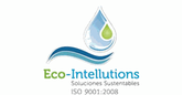 ECO INTELLUTIONS SA DE CV