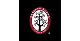 Cassava Roots