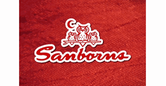 Sanborns Hermanos SA